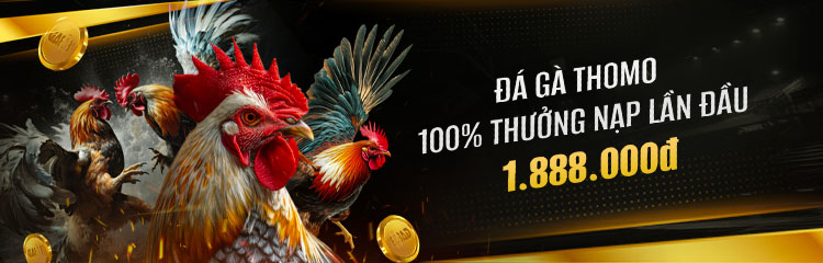 Đá gà & Vòng quay miễn phí: Tặng thêm 100 Vòng quay miễn phí JILI mỗi ngày!